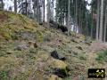 Quarzitklippen am Gipfel des Hirschenstein bei Hartmannsdorf nahe Kirchberg im Erzgebirge, Sachsen, (D) (5).JPG